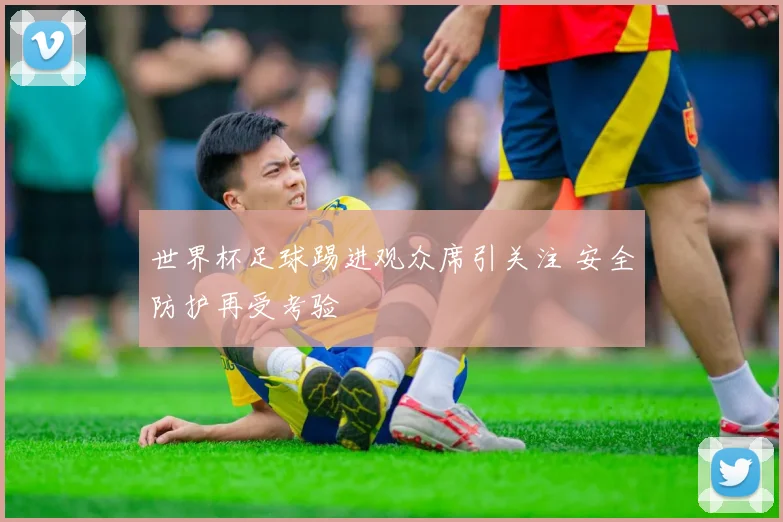 世界杯足球踢进观众席引关注 安全防护再受考验