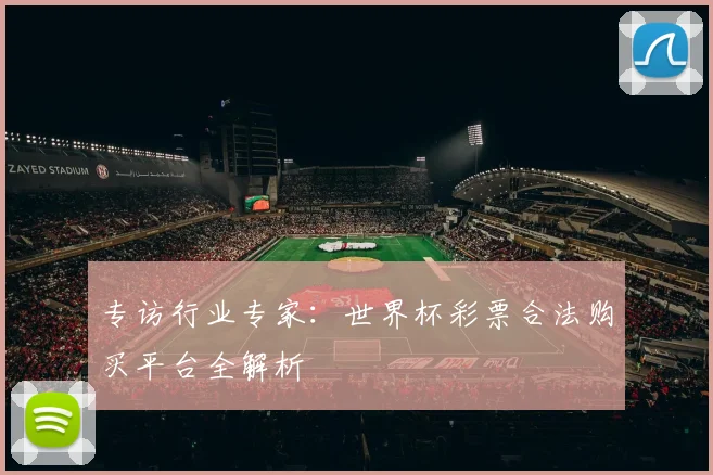 专访行业专家：世界杯彩票合法购买平台全解析