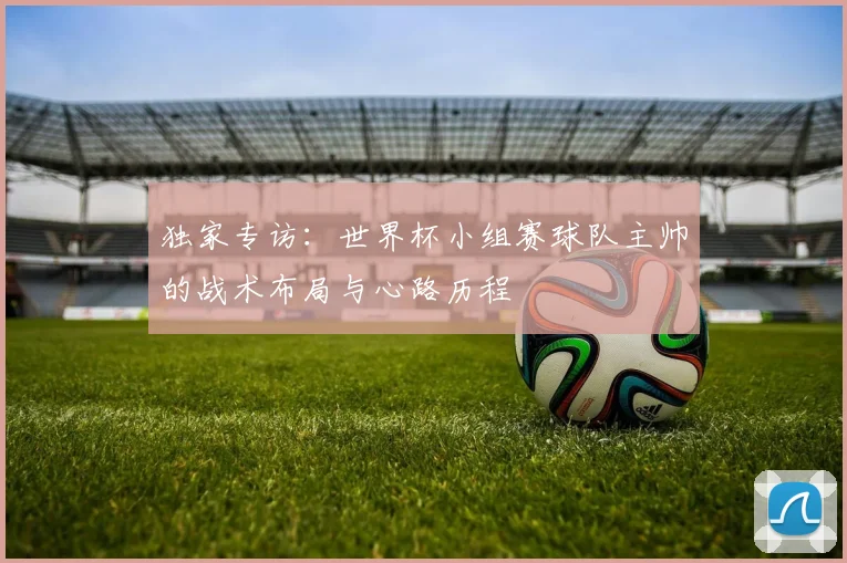 独家专访：世界杯小组赛球队主帅的战术布局与心路历程
