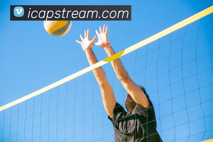 2018世界杯官网平台生态图